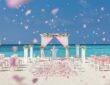 Признайтесь в любви и обменяйтесь клятвами на пляжной свадебной церемонии в Mӧvenpick Resort Kuredhivaru Maldives